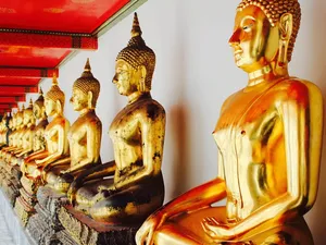 Our Sangha